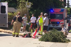 Maibaum kippt um - mehrere Verletzte
