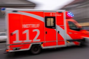 Mann bei Holztransport schwer verletzt