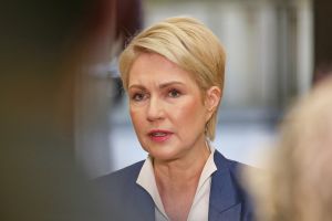 Manuela Schwesig (Archiv)