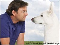 Martin Rtters Tierheimhelden halten sich akzeptabel am Vorabend