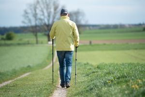 Mehr Halt bergauf und bergab – so bringen Wanderstöcke Sicherheit ins Gelände