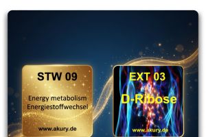 Mehr Power durch Aktivierung des Energiestoffwechsels