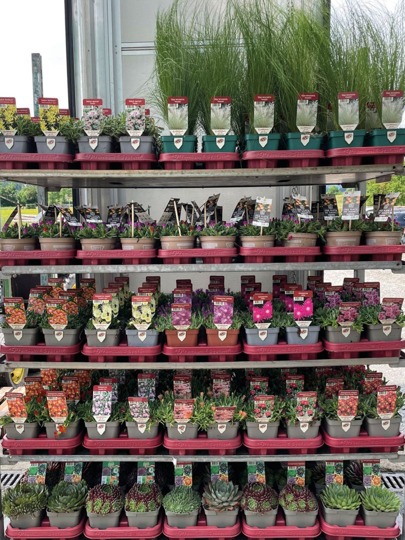 Mehrweg leicht gemacht: Tiefzieh-Tray macht den Unterschied