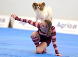 Meisterschaft im Dog Dancing auf Messe «Hund & Pferd»