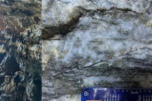 Miata Metals beginnt Bohrungen im Zielgebiet Puma nach hochgradigen Oberflächenergebnissen auf dem Goldprojekt Sela Creek