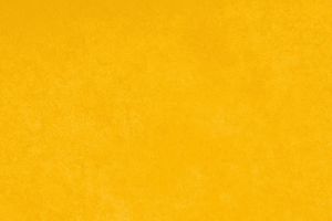 Milliardäre auf Rekordkurs – Oxfam warnt vor der Erosion der Demokratie