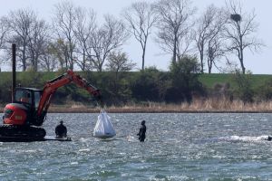 Ministerium duldet möglichen Transport des Buckelwals