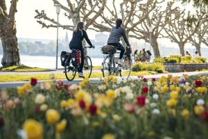 Mit Rückenwind durchs Paradies am Bodensee: Radfahren in Konstanz