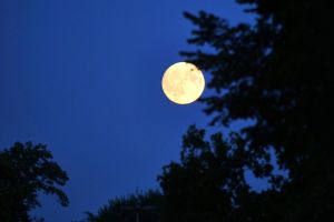 Mond (Archiv)