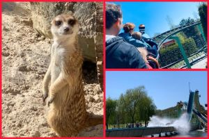 Mondo Verde Tickets mit All-inclusive-Verpflegung ab 16,45€ statt 27,50€