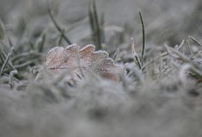 Morgenfrost in Baden-Württemberg