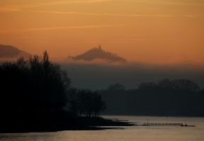 Morgennebel in Bonn
