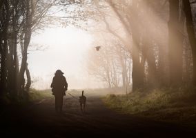 Morgenstimmung in Brandenburg