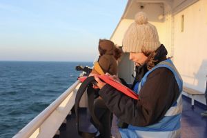 MSC Cruises kooperiert zur ersten Alaska-Saison mit der Meeresschutzorganisation ORCA