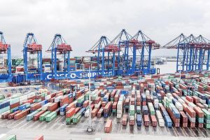 MSC und Stadt Hamburg kürzen HHLA-Dividende – Kleinanleger üben scharfe Kritik