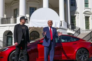 Musk knickt ein – Teslas gefährliches Spiel mit der Politik