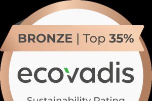 Nachhaltigkeit strategisch gelebt: Wie HOFFMANN MINERAL Verantwortung mit Weitblick umsetzt