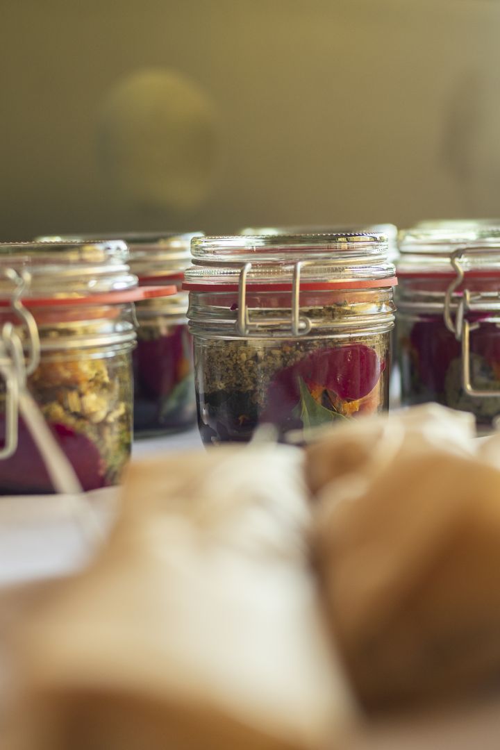 Natur- und Wildwoche im Ostseeheilbad Graal-Müritz