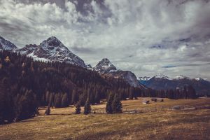 nature, travel, exploration, outdoors, bergblick, schnee, wald, berge, alpen