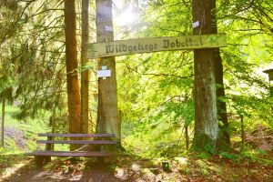 Naturerlebnis zwischen Wald und Wildnis: Große „Wildtiertour“ rund um Bad Herrenalb
