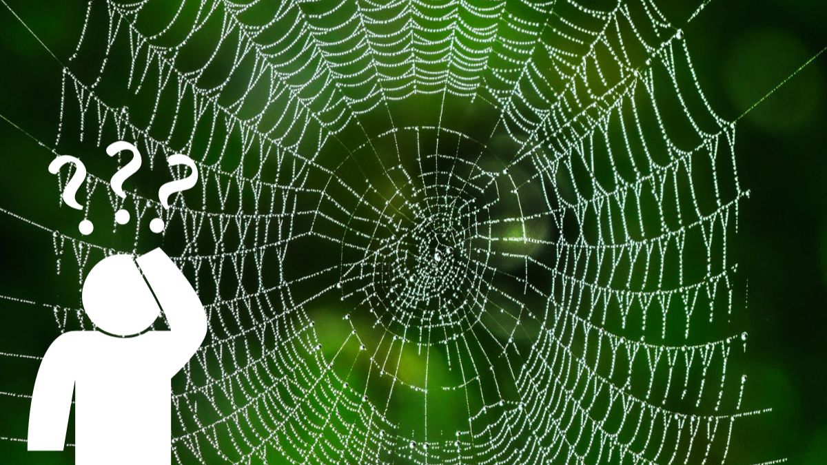 Netzwerkausfall – genau jetzt. Was tun Sie?