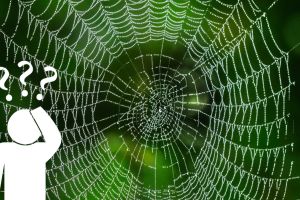 Netzwerkausfall – genau jetzt. Was tun Sie?