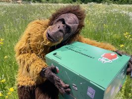 Neue Unterrichtsmaterialien Palmöl: Was macht der Orang-Utan in meinem Einkaufswagen?