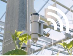 Neues Licht für den Gartenbau: Mit dem Aranet_PAR-LS zum Wachstumserfolg
