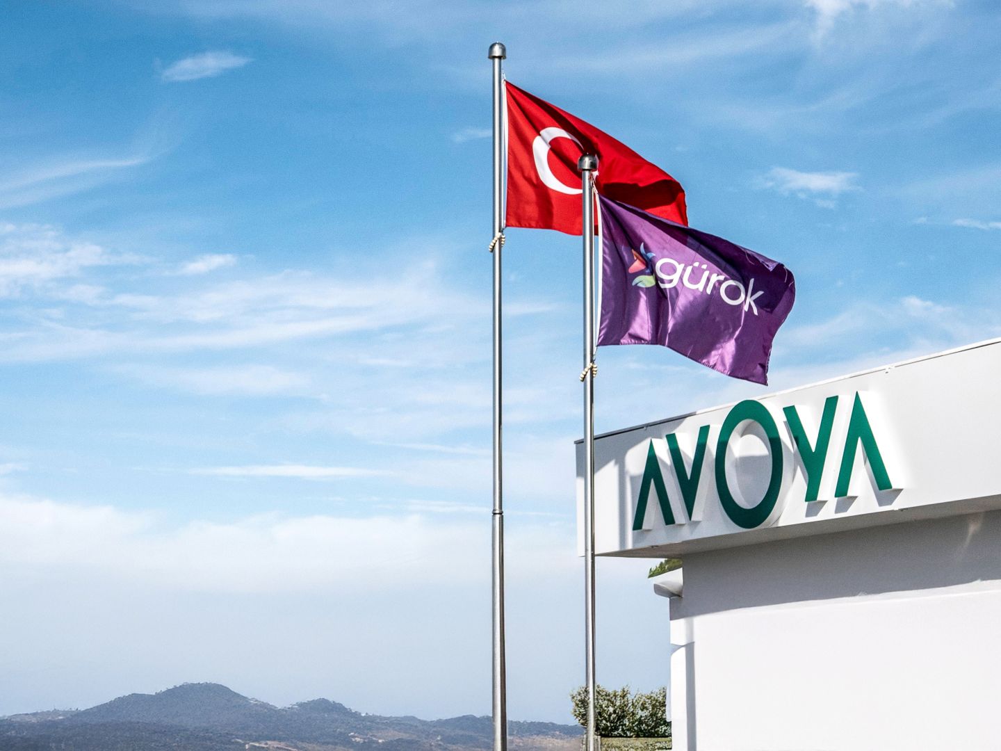 Newcomer mit Ambitionen