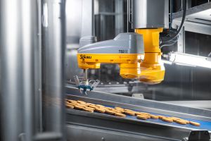 Niederländisches Erfolgsrezept