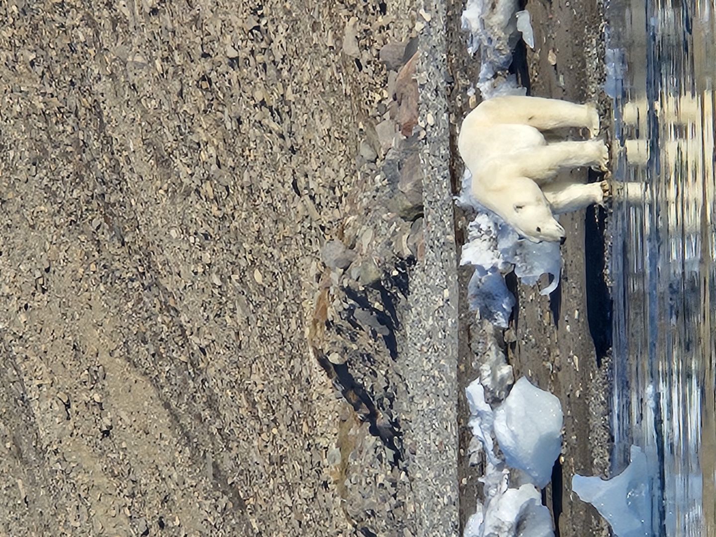 Nordwestpassage erleben: Expeditionskreuzfahrt in der Arktis mit Polaris Tours auf den Spuren historischer Entdecker