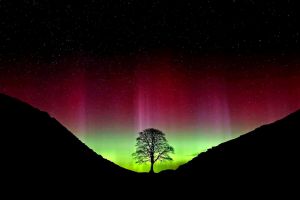 Northumberland bei Nacht (Archivfoto)