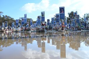 Nova Festival Memorial