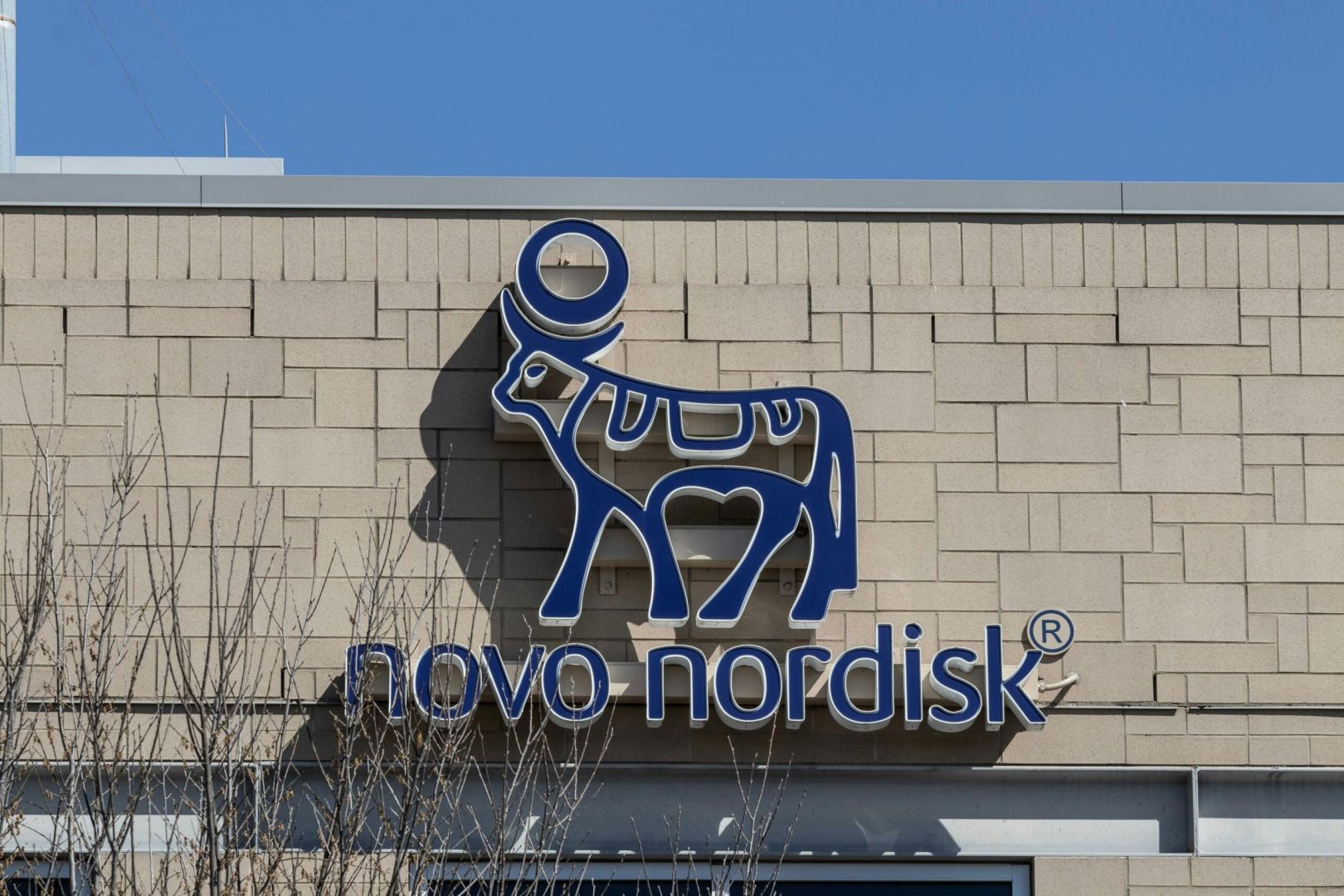 Novo Nordisk im Umbruch – Vom Superstar zum Sanierungsfall
