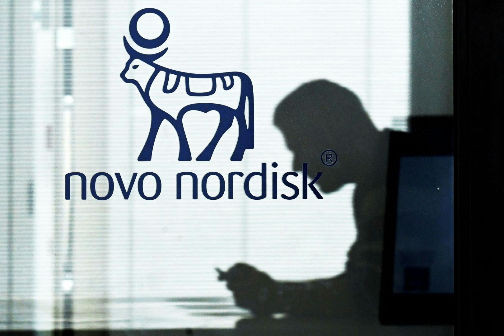 Novo Nordisk tauscht CEO aus – Strategiewechsel nach Kurssturz und wachsender Konkurrenz im Adipositasmarkt