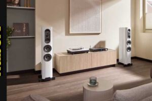 Nubert – Die richtige Technik für den kommenden Record Store Day