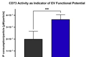 NurExone plant die klinische Herstellung von ExoPTEN im kleinen Maßstab zur Vorbereitung zukünftiger First-in-Human-Anwendungswege