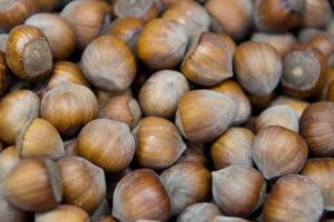 Nuss-Notstand bei Nutella & Co. – Haselnuss-Krise im Vormarsch