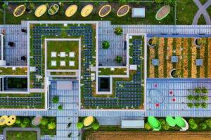 Optigrün ist Finalist beim Deutschen Nachhaltigkeitspreis 2026.