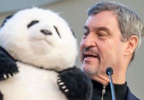 Panda-PK im Tierpark Hellabrunn