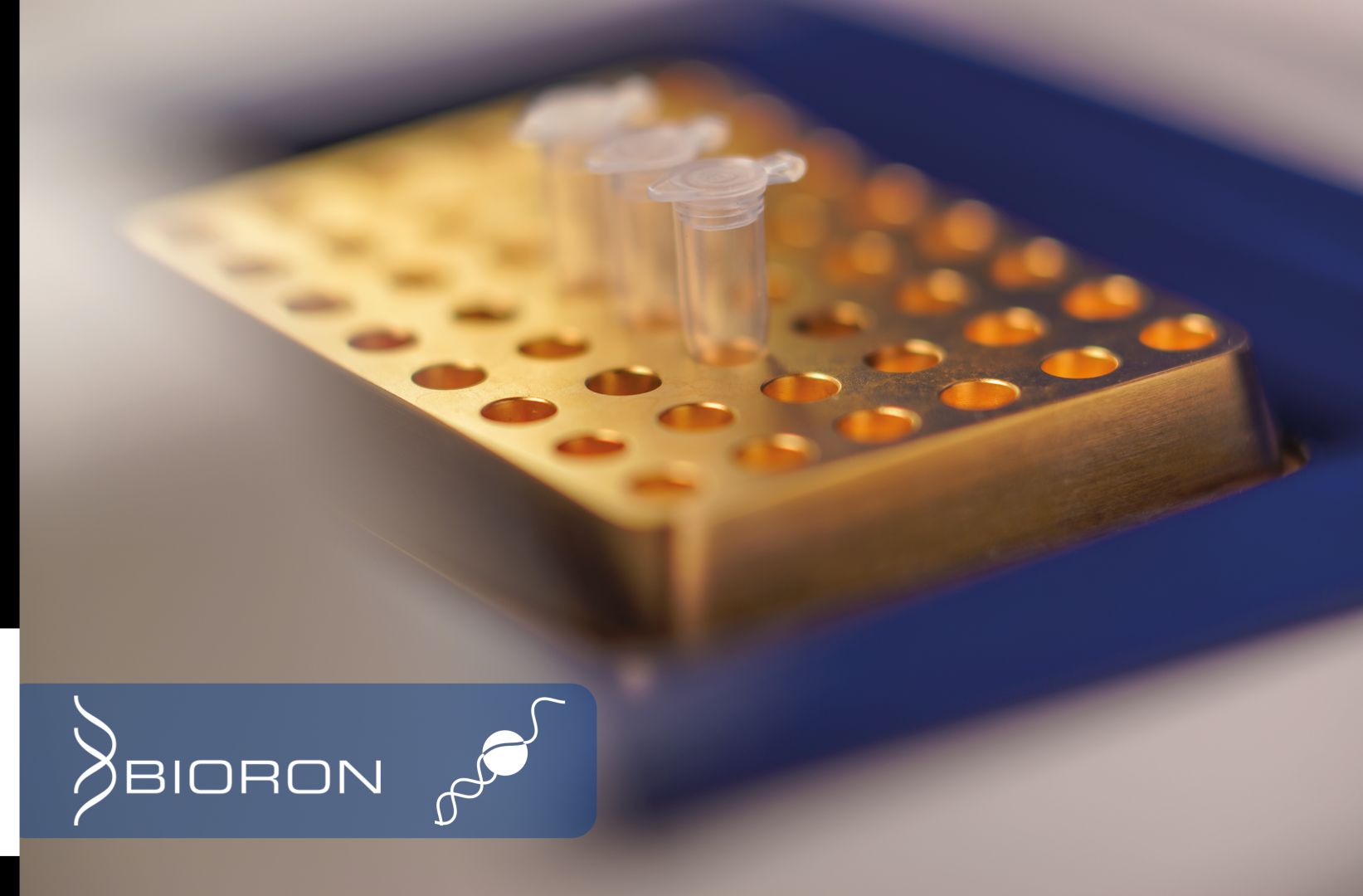 PCR-Optimierung: Wie spezifische DNA-Polymerasen Sensitivität, Spezifität und Reproduzierbarkeit von PCR-Assays in molekularer Diagnostik verbessern