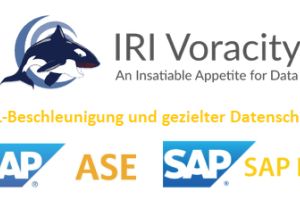 Performance trifft Datenschutz Beschleunigte SAP-Integration (ehemals Sybase) und sichere Datenverarbeitung❗