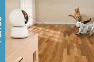 PetTec Cam Laser – Spielt mit eure Katze aus der Ferne
