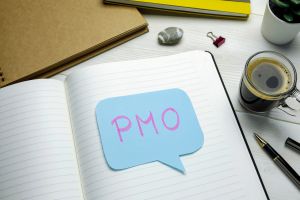 PMO zwischen Projektteams und Unternehmensführung: Brücke oder Bottleneck?