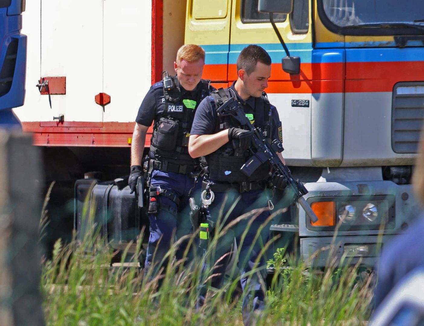 Polizei erschießt entlaufenen Tiger bei Leipzig