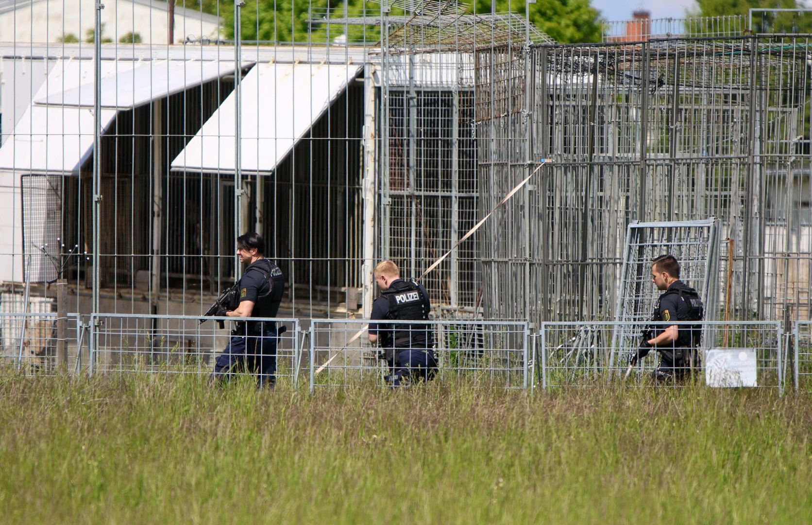 Polizei erschießt entlaufenen Tiger bei Leipzig