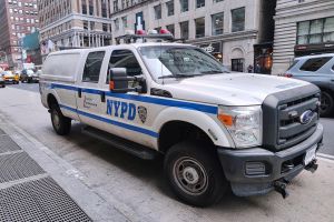 Polizei von New York (Archiv)
