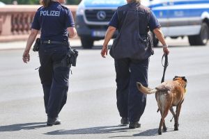 Polizistinnen mit Polizeihund (Archiv)