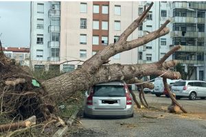 Portugal: Adventistische Kirchengemeinden und ADRA mobilisieren Hilfe nach Orkan Kristin