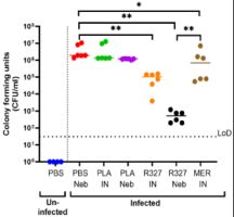 Positive Wirksamkeitsdaten von inhalativ verabreichtem RECCE® 327 bei im Krankenhaus erworbener/beatmungsassoziierter Pneumonie (HAP/VAP) in Mausmodellen